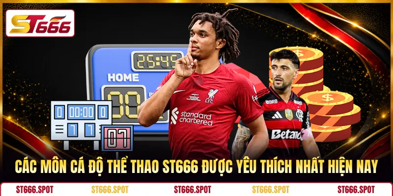 Các môn cá độ thể thao ST666 được yêu thích nhất hiện nay